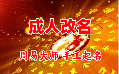 汉中成人改名-找大师一对一改名先分析后改名